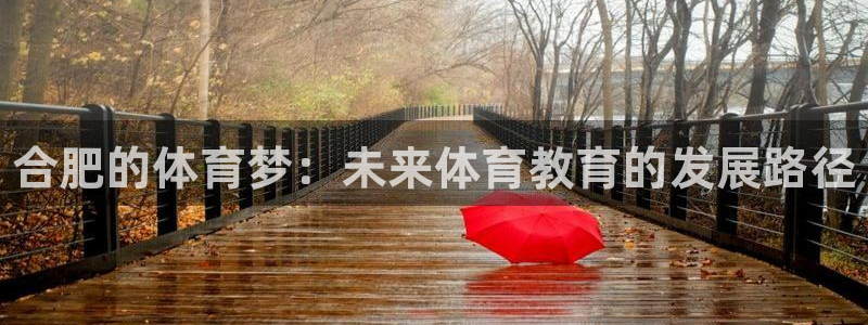 MK体育官网下载招商电话:合肥的体育梦:未来体育教育的发展路