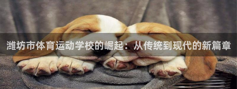 MK体育官网下载官方客服电话:潍坊市体育运动学校的崛起:从传